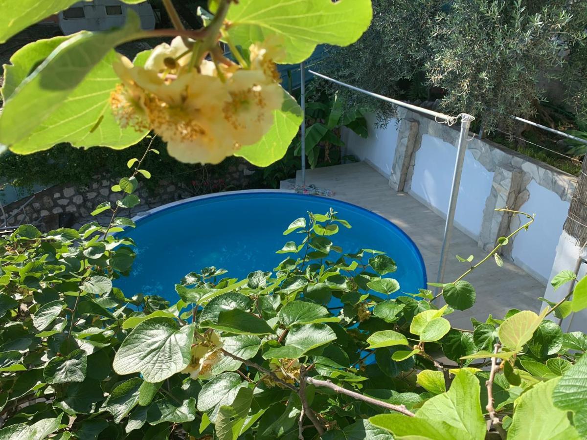 Apartments Mirian Petrovac Exterior foto